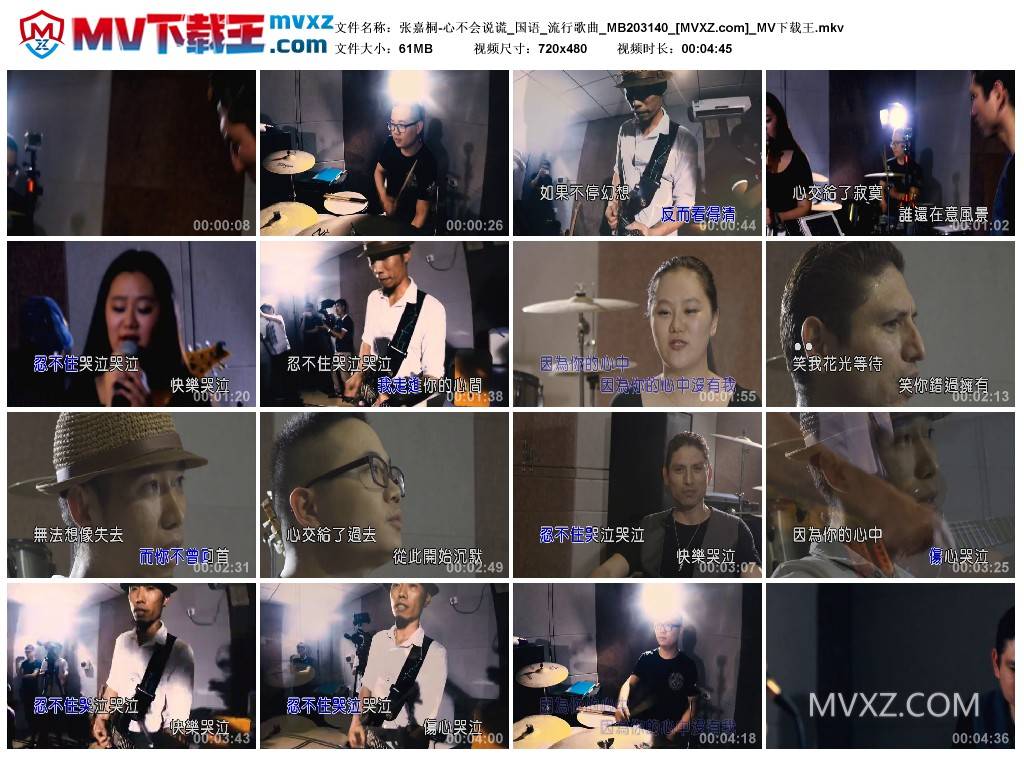 张嘉桐-心不会说谎_国语_流行歌曲_MB203140